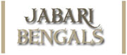 Jabari Bengals
