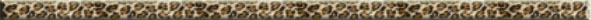 leopard bar